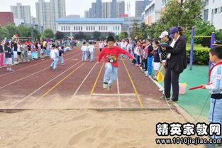 作文,運動(dòng)會(huì ),校園,新聞