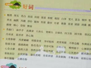 校園風(fēng)景線(xiàn)作文的好詞好句