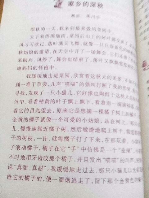 校園的教師風(fēng)景線(xiàn)作文600字
