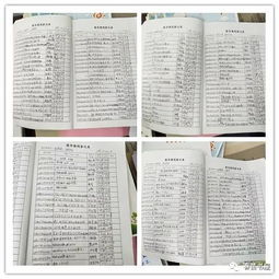 作文,校園,圖書(shū)