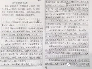 作文校園掠影
