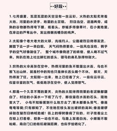 關(guān)于校園作文的好句好段