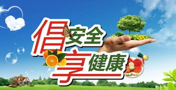 作文,校園