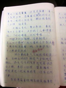 校園暴力安全作文200字