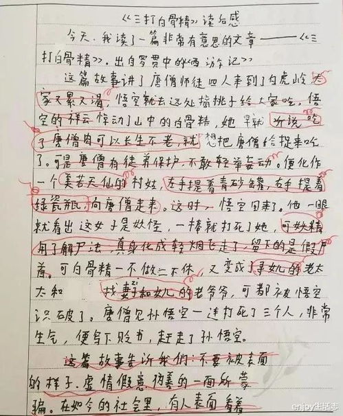 尊重校園作文