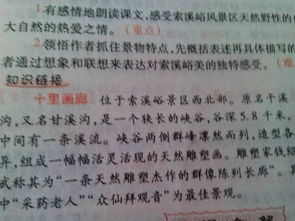 校園導游作文二百字
