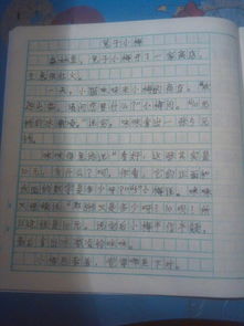 作文,感動(dòng),美麗,校園