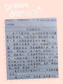 作文,六級,校園內(nèi),活動