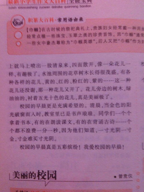 新的校園初一500字作文