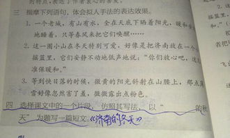 我的校園軍訓生活作文800字,我的軍訓生活作文400字左右,軍訓生活第二天作文400字