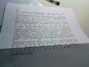 我愛中國字評語進校園作文