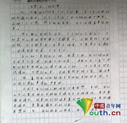 作文,師生,小學(xué),校園