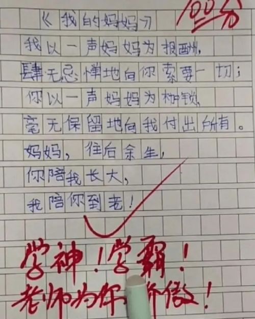 作文,小學(xué)生,校園