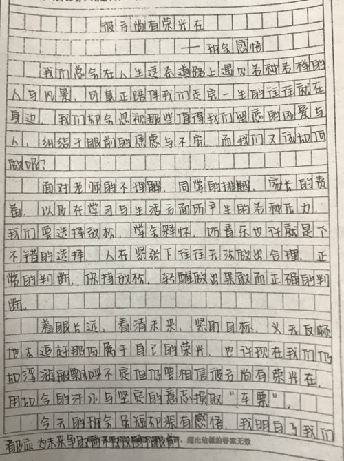 欺凌,小學(xué)生作文,預(yù)防,校園