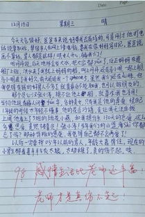 校園生活苦與樂(lè )500作文