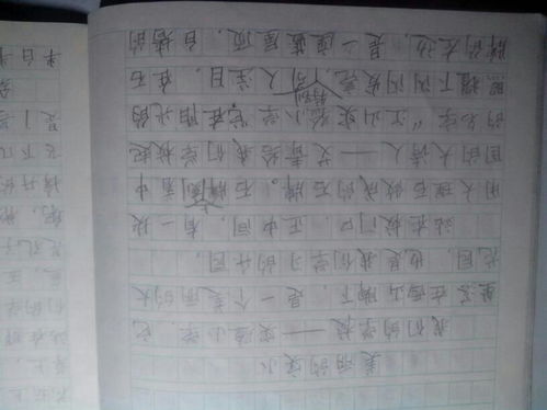 我的校園移步換景作文400字,我的校園移步換景的寫(xiě)景作文500字,校園作文移步換景