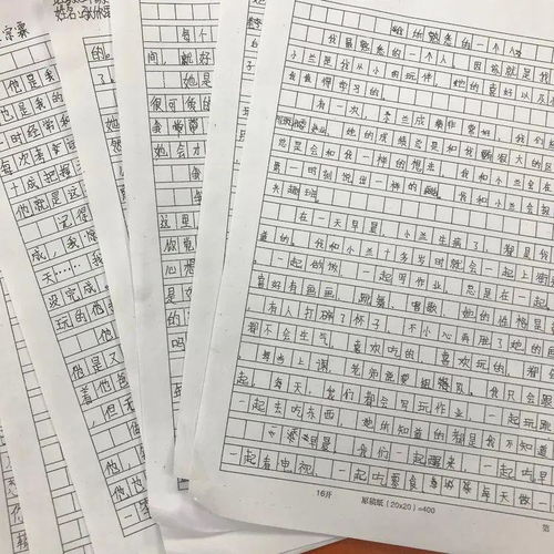 記一次書(shū)畫(huà)展作文校園