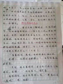 我愛(ài)校園作文玉海中學(xué)