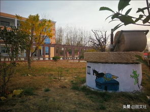 小學生作文,美麗,校園