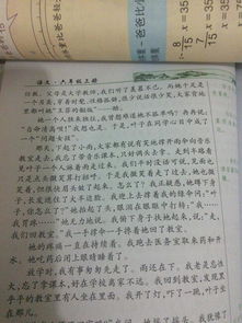 校園春秋的作文400字