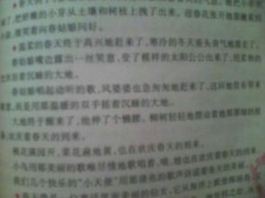 寫(xiě)景,作文,春夏秋冬,字左右