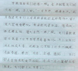 這學期的校園生活感想作文600字