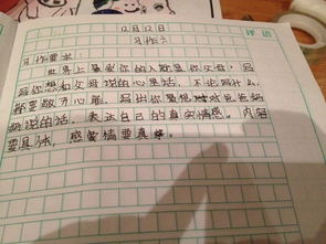 作文,藝術(shù)節(jié),描寫,場面