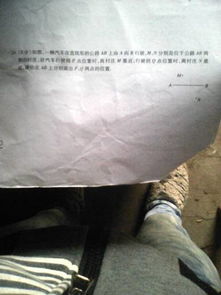 校園籃球比賽觀(guān)后感作文