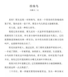 關(guān)于寫(xiě)剛進(jìn)校園的感受的作文