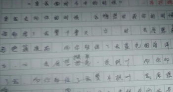 美麗的校園體會作文650字