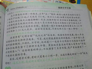作文,校園