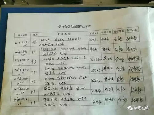 楊光校餐校園營(yíng)養餐作文