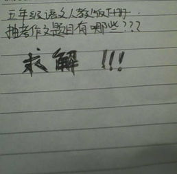 五級語(yǔ)文作文題目我的校園