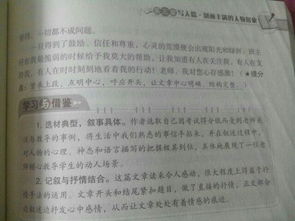 以我的校園故事為話題的作文,關(guān)于校園故事的作文,我的校園故事作文800字
