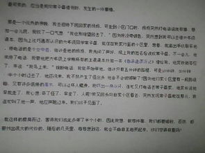 校園見(jiàn)證我的快樂(lè )作文700字