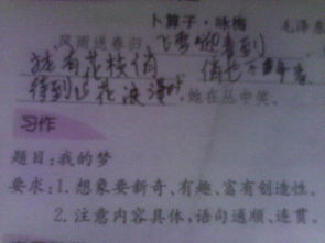 我的夢(mèng)600字優(yōu)秀作文關(guān)于校園