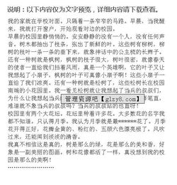 三年級美麗校園作文300字左右,寫美麗校園的作文300字三年級,美麗校園作文300字三年級