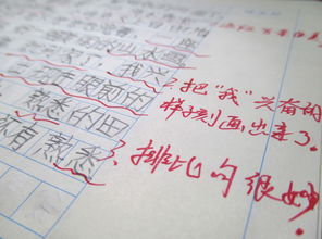 校園特色的作文