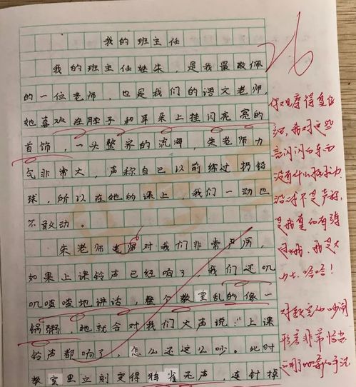 校園里的看法作文300