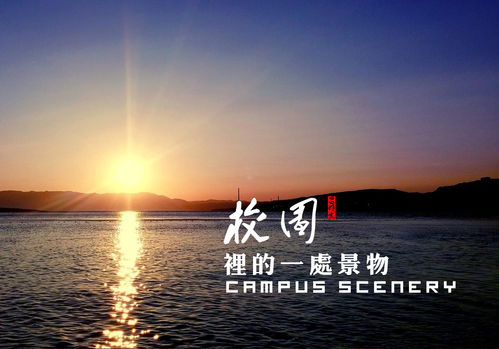 校園的景色作文300字四年級(jí),校園冬天的景色作文300字,校園的一處景色作文300字