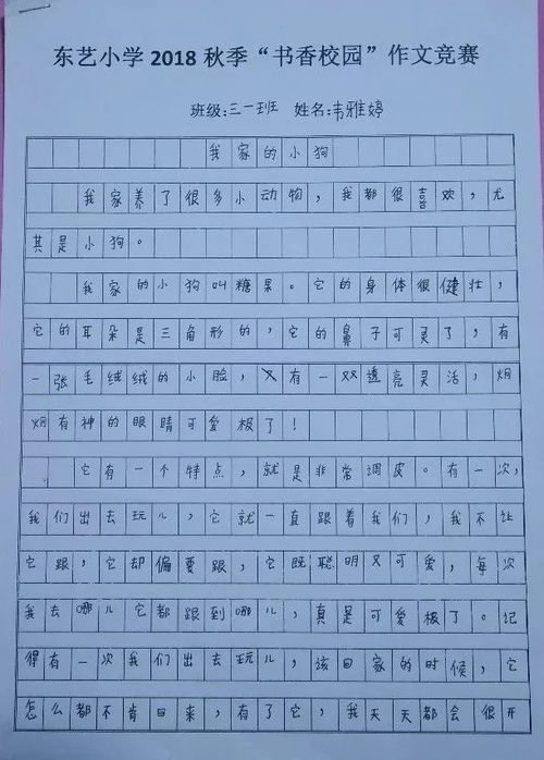 作文,四級(jí),初中,校園
