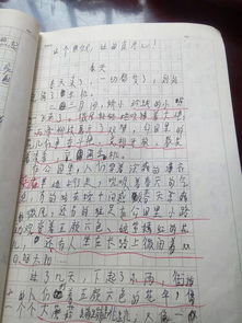 作文,四級(jí),春天,校園