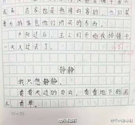 美麗的校園嘉興市實(shí)驗小學(xué)作文