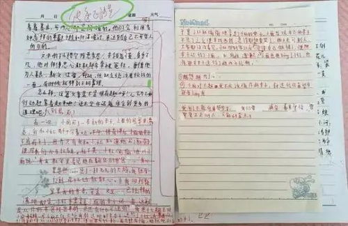 校園的四級作文批改評語(yǔ)