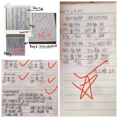 寫安陽第一實驗小學校園的作文