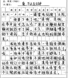 我的校園滿(mǎn)分作文800字