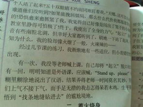 作文,七級,校園