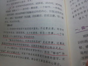 關(guān)于大學(xué)校園愛情的話題的作文