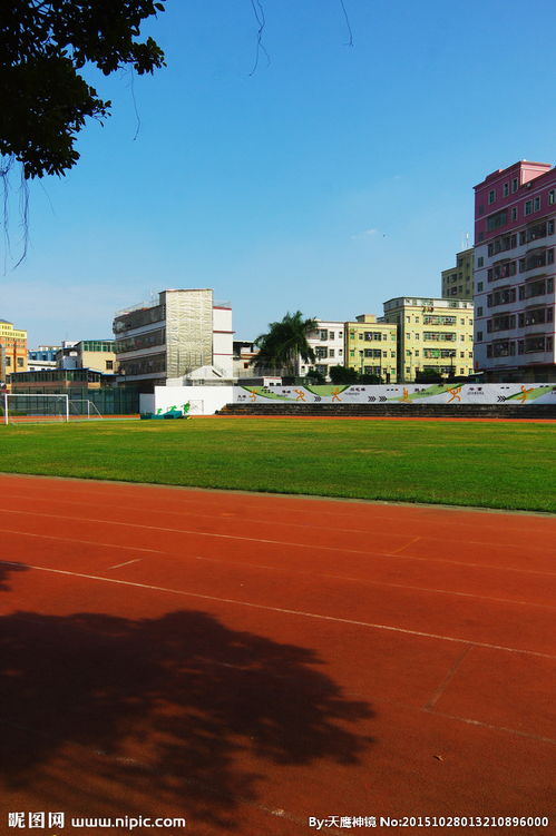 哈爾濱繼紅小學(xué)校園風(fēng)景作文
