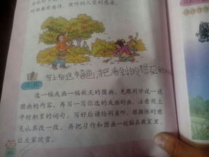 校園里的松樹(shù)200字作文怎么寫(xiě)